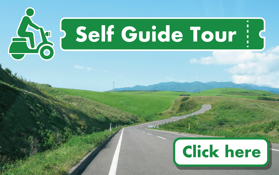 Self - Guide Tour Package