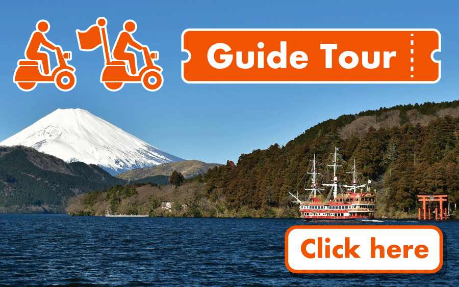Guide Tour Package