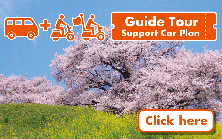 Guide Tour + Car Support Package